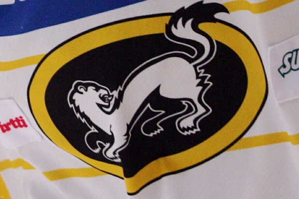 t_karpatlogo_2010a