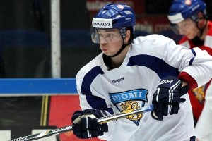 t_salminensakari2013f