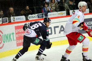 ii_medvescakjokerit2014leinoville