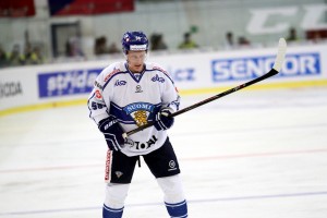 ii_czefin2015pesonenharri