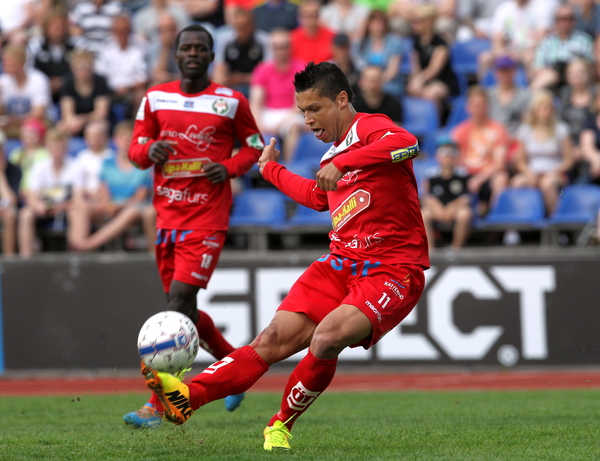 t_helmkehendrik2014