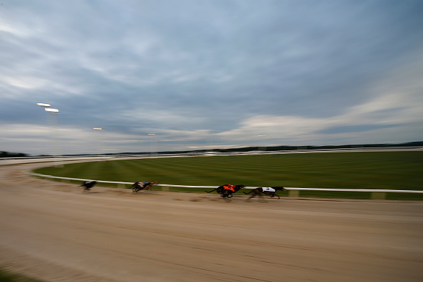 Greyhound Races at Towcester Racecourse – The 2017 Greyhound Derby