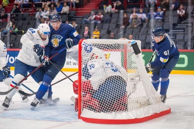 aop_leijonatfra25