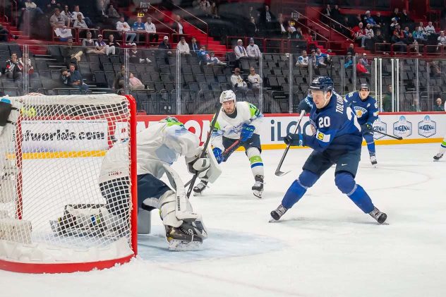 aop_leijonatslo25