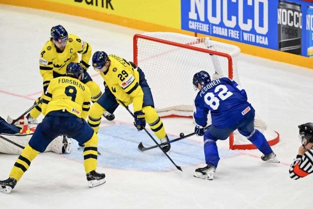 aop_leijonatswe25