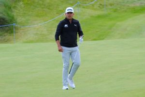 aop_lindelloliver25c