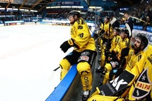 CHL:ssä vielä 14 pudotuspelipaikkaa auki aop_kalpa25a